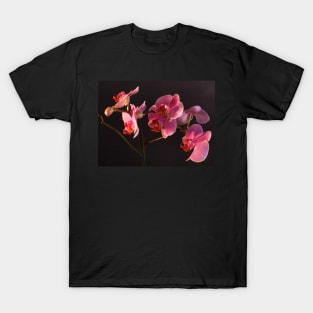 Orchid T-Shirt